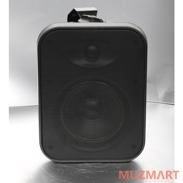 SVS Audiotechnik WSP-80 Black Громкоговоритель настенный