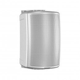 Tannoy AMS 5DC WH Пассивная акустическая система