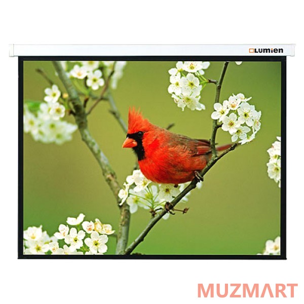Lumien Master Picture (LMP-100103) Matte White Fiberglass Проекционный экран 180х180