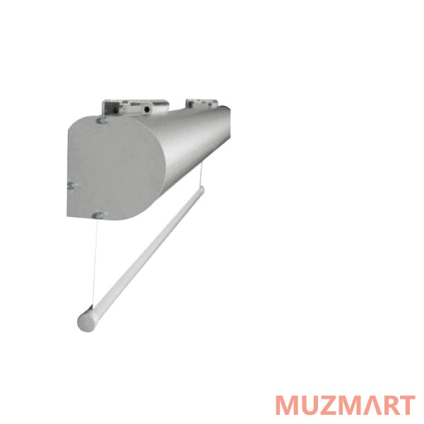 Projecta Master Electrol (10130240) Проекционный экран с электроприводом 400х500 см