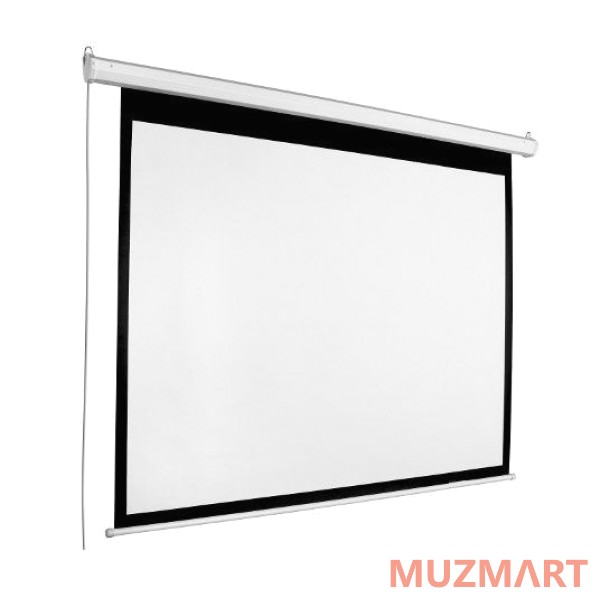 Euroscreen Diplomat Electric Video (4:3) 240*210cm (VA230*172,5) TabT Flexwhite case white Экран с электроприводом