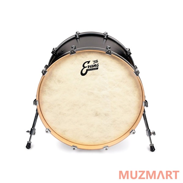 Evans BD16CT Пластик барабанный 16", Calftone